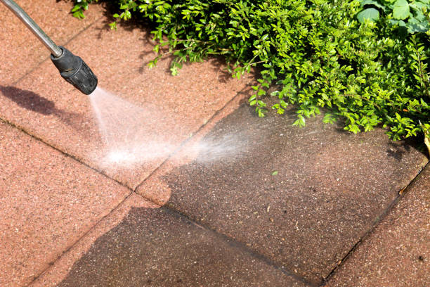 Fence Pressure Washing